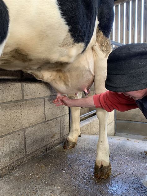 milker twitter|ST.